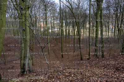 Park Ferberów w okolicach Traktu św. Wojciecha w...