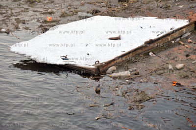 Plywajacy smietnik na Motławie przy marinie na ul.Szafarnia...