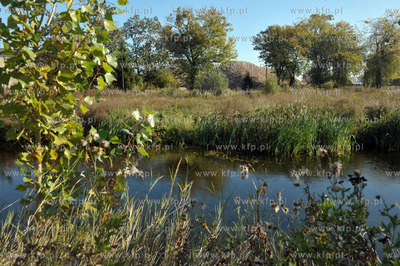 Porosniete sitowiem zbiorniki wodne, brzegi z niedostepnymi...
