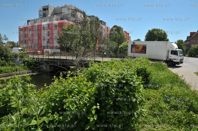 Gdansk. ul. Torunska. Apartamentowce na wypsie Spichrzow.12.06.2013...