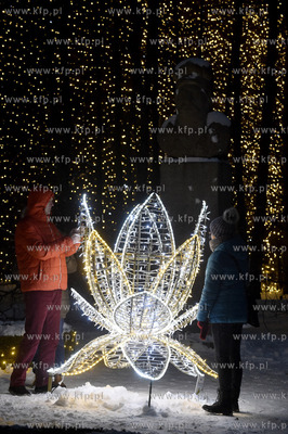 Gdańsk. Iluminacja świąteczna w Parku Oliwskim....
