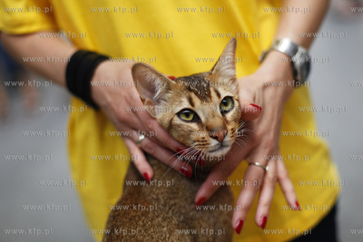 Sopot. Hala 100-lecia Sopotu. Miedzynarodowa Wystawa...