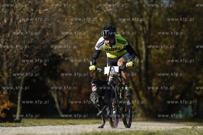 Gdańsk. Park Reagana. Pucharu Polski Psich Zaprzęgów...