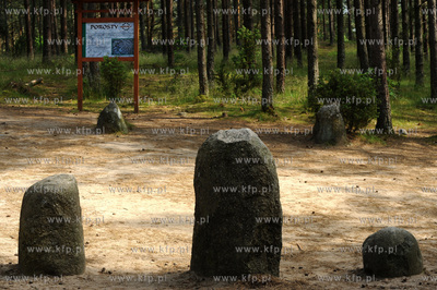 Wesiory. Miejsce obrzedowe i cmentarzysko Gotow z I-II...
