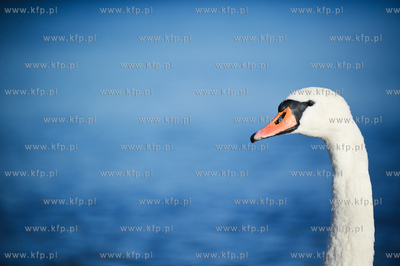 Sopot. Sloneczny dzien na plazy.
09.12.2011
fot....