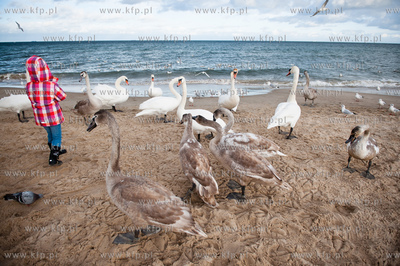 Plaza na granicy Gdanska i Sopotu w zimowe sloneczne...