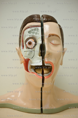 Gdanski Uniwersytet Medyczny. Budynek nr 1. Uroczyste...