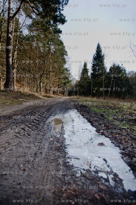 Gdansk. Oliwa, Trojmiejski Park Krajobrazowy. Sciezka...