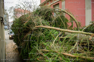 Gdansk. Dlugi Targ. Operacja stawiania swiatecznej...