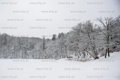 Sniezny zimowy dzien nad jeziorem Otominskim.
21.01.2016
fot....
