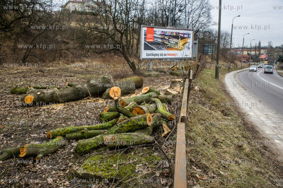 Gdańsk. Wycięte drzewa na jednej z działek przy...
