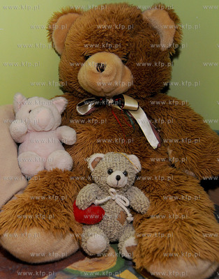 25.11 to  Swiatowy Dzien Pluszowego Misia. 
Historia...