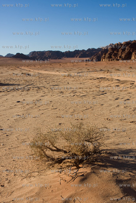 Wadi Rum Jordania NZ Pustynia Wadi Rum. 04.11.2009...