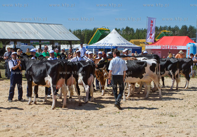 XX Pomorskie Targi Rolno Przemyslowe Pomorska Wojewodzka...