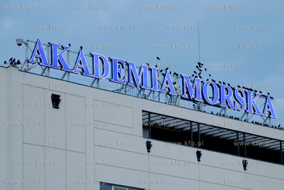 Tysiace ptakow przeslonilo w sobote wieczorem niebo...