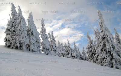 Korbielo. Osrodek Narciarski Pilsko. 11.01.2013 fot....