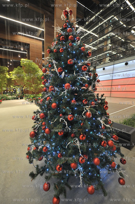 Europejskie Centrum Solidarnosci. Gdansk. Swiateczny...