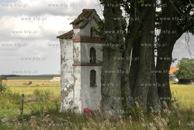 Wieś Wapnik na Warmii. Przy polnej drodze w kierunku...