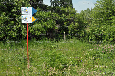 Streetwaves czyli artystyczna akcja miejska w Gdansku...