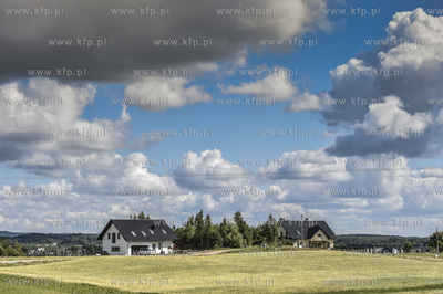 Zbiór truskawek na polu Państwa Czajów we wsi Borzestowska...