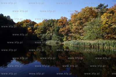 Sopot. Staw Morskie Oko.
14.10.2013
fot. Krzysztof...