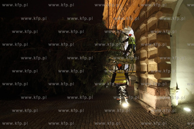 Gdanska Bozonarodzeniowa choinka wjezdza na Dlugi Targ.
28.11.2014
fot....