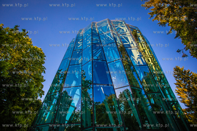 Park Oliwski. Palmiarnia.
11.06.2021
fot. Krzysztof...