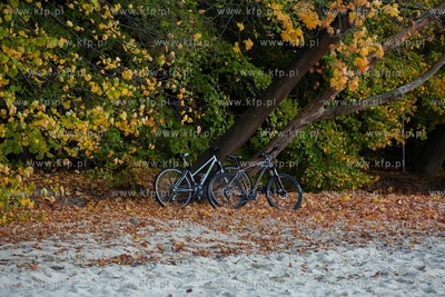 Gdynia Orłowo. Złota jesień. 14.10.2018 / Fot. Anna...