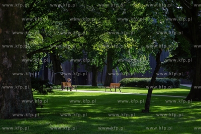 Park na Targu Rakowym po modernizacji. 9.08.2019 /...