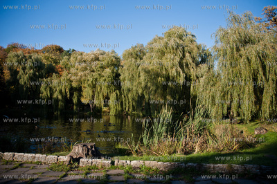 Gdansk. Sloneczne jesienne popoludnie w Parku Orunskim.
17.10.2012
fot....