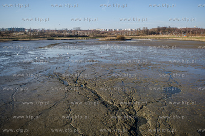 Gdansk. Pracowinicy Gdanskich melioracji oproznili...