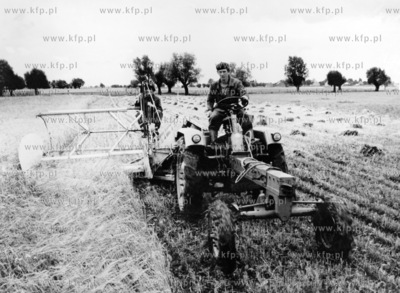 Zniwa w PGR Bystra na Zulawach.  1.09.1962
odb_14_07_09
Fot....