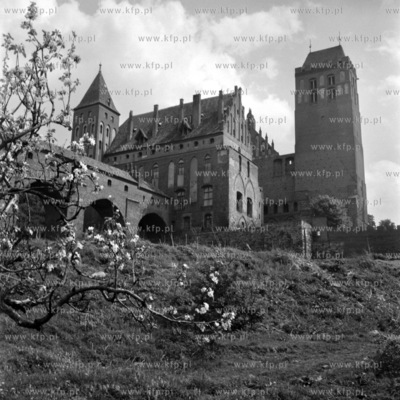 Zamek Kapituły Pomezańskiej w Kwidzynie.
1968
0004903z_1968
Fot....