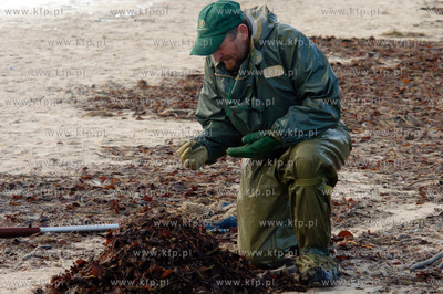 Ustka
W Ustce rozpoczal sie sezon polawiania bursztynu....