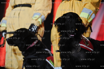 XIX Final Wielkiej Orkiestry Swiatecznej Pomocy na...