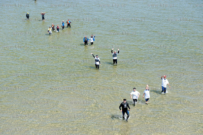Marsz Sledzia odbywa sie Rybitwia Mielizna (Rewa Mew)...