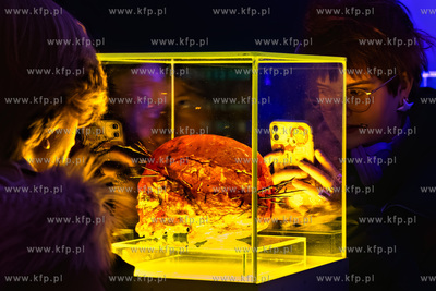 Wernisaż wystawy Jacka Kornackiego "Ślady i znaki...