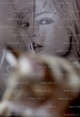 Sopot. Miedzynarodowa wystawa kotow.
08.08.2010
fot....