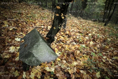 Pozostalosci cmentarza zydowskiego na  Krolewskim Wzgorzu...