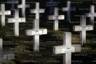Wojskowy cmentarz francuski w Gdansku.
31.10.2013
fot....