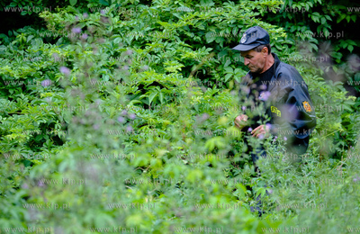 Gdansk. Jelitkowo. Poszukiwannia 19-sto letniej mieszkanki...