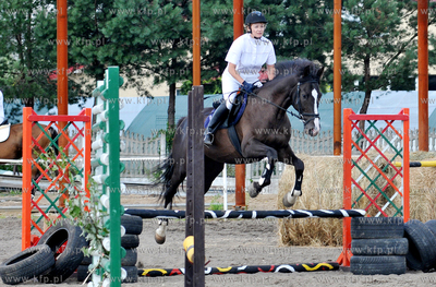 Stadnina koni MORINA w Redzie/Wejherowa. Towarzyskie...