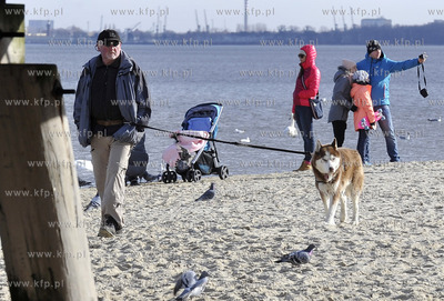 Plaza. Sopot. Okolice Molo. Psy na plazy. 27.02.2016...
