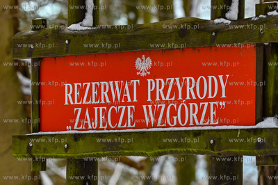 Sopot. Trojmiejski Park Krajobrazowy. Rezerwat Przyrody...