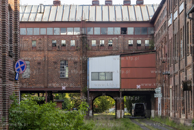 Botaniczny Pruszcz. Spacer badawczy śladem roślin...