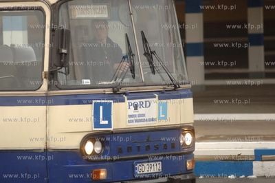 Michal Tusk zdal egzamin na prawojazdy kategorii D...