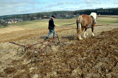 Wiosenne prace rolne przy uzyciu konia w Sulminie na...