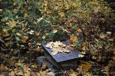 Sopot. Cmentarz Zolnierzy Radzieckich.
24.10.2012
fot....