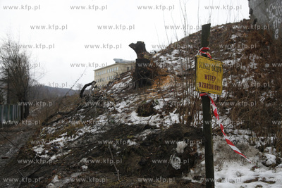 Wycinka drzew pod budowe trasy Pomorskiej Kolei Metropolitalnej...