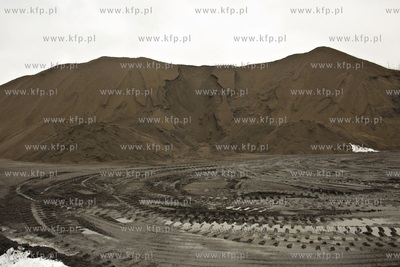 Z terenów fabryki Pollytag w Gdańsku Letnicy znika...